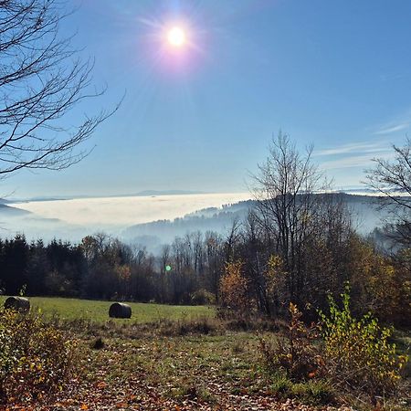 Apartament Mountains Gory Sowie Jugów Esterno foto