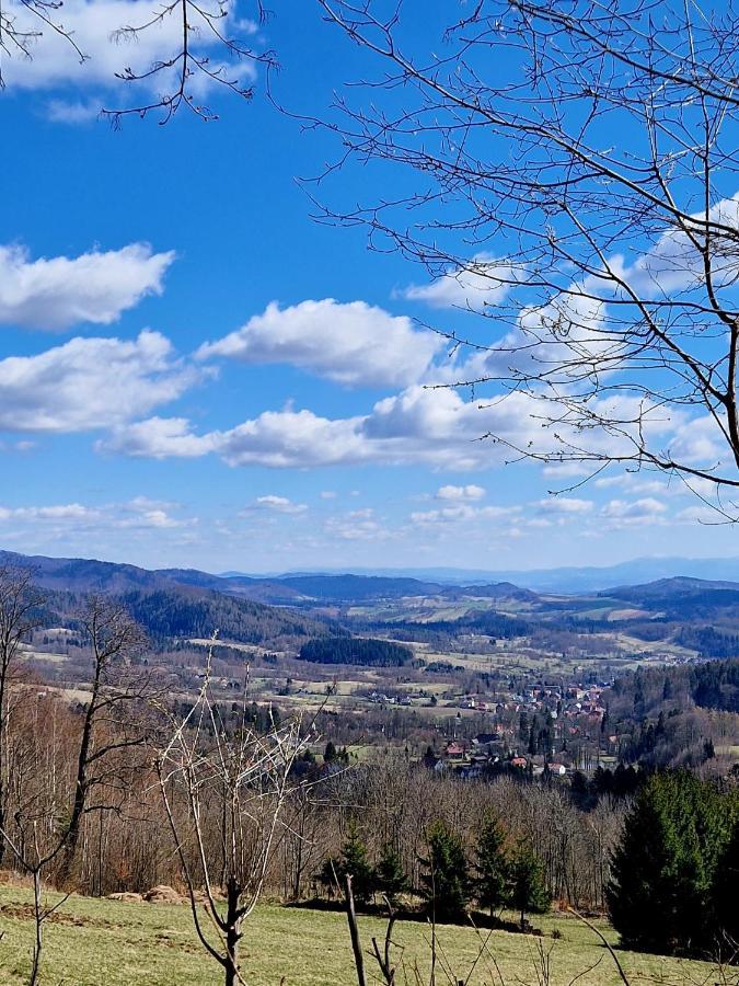 Apartament Mountains Gory Sowie Jugów Esterno foto